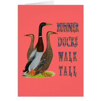 Runner Ducks Walk Tall