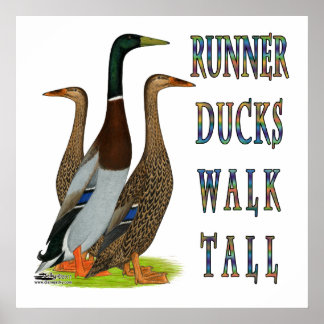Runner Ducks Walk Tall Poster