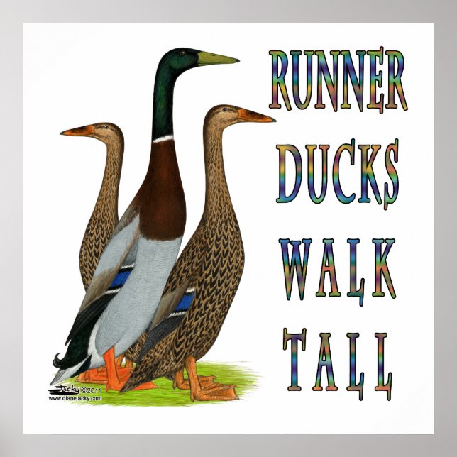 Runner Ducks Walk Tall Poster (Front)