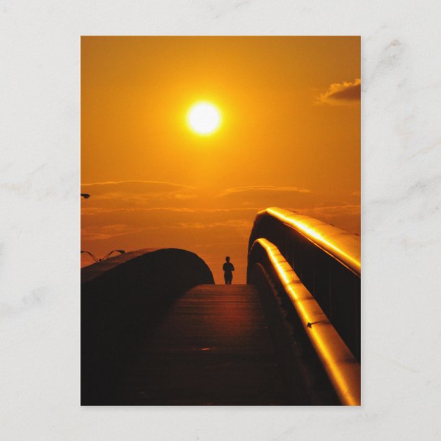 Runner Sunset Delight Bridge Daytona Postcard (Front)