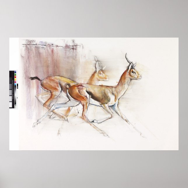 Running Arabian Gazelles 2010 Poster (Front)