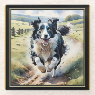 Running Border Collie Glass Coaster