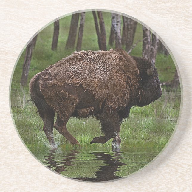 Running Buffalo & Forest, Bison-lover's Design Coaster (Front)