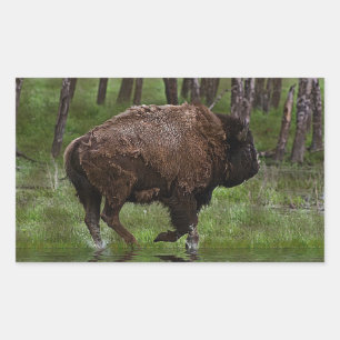 Running Buffalo & Forest, Bison-lover's Design Rectangular Sticker