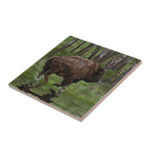 Running Buffalo & Forest, Bison-lover's Design Tile