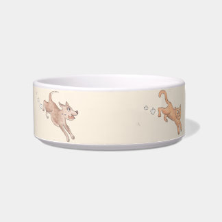 Running Cat & Dog Pet Bowl