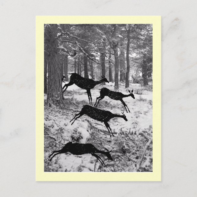 Running Deer Postcard (Front)