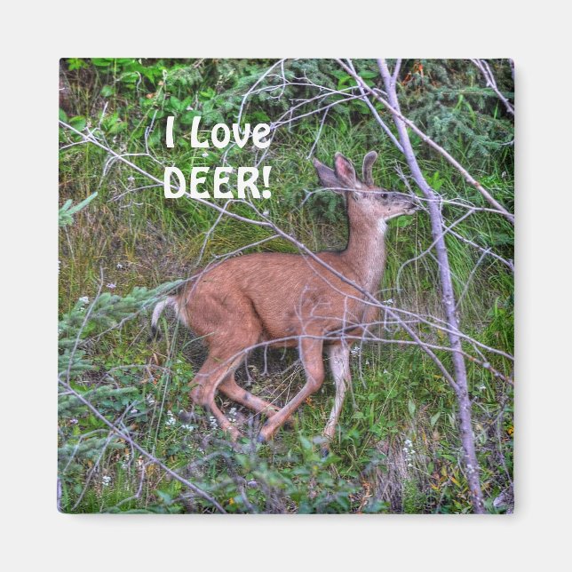 Running Deer Wildlife for Outdoor-lovers Magnet (Front)
