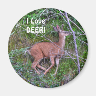 Running Deer Wildlife for Outdoor-lovers Magnet