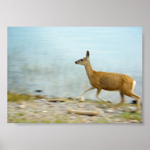 Running Doe Print