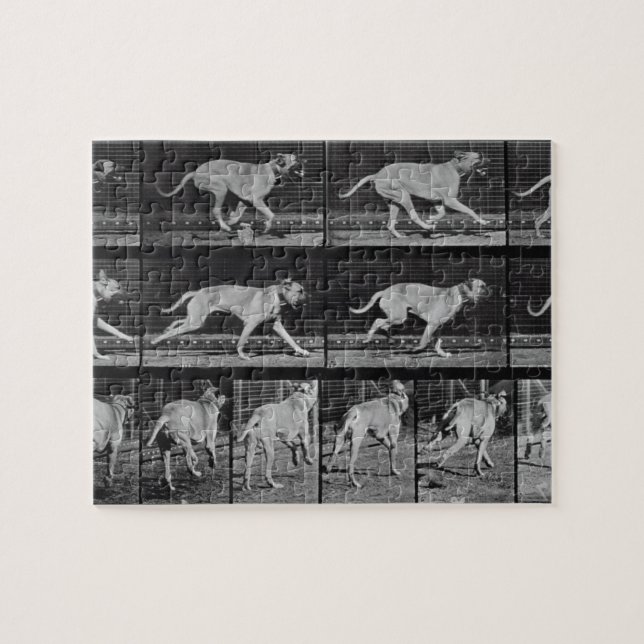 Running Dog, plate 707 from 'Animal Locomotion', 1 Jigsaw Puzzle (Horizontal)