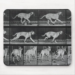 Running Dog, plate 707 from 'Animal Locomotion', 1 Mouse Pad