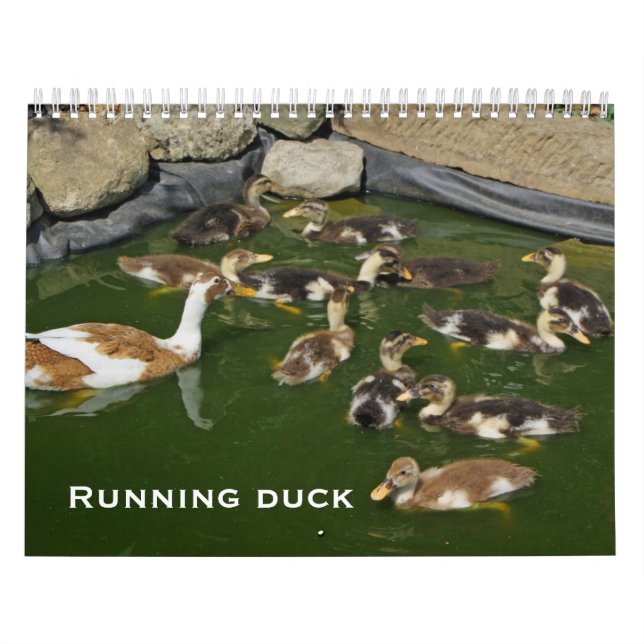 Running duck calendar (Cover)