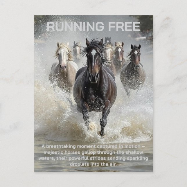Running Free  Postcard (Front)