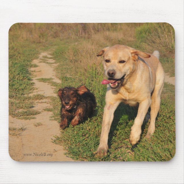 Running happy  Dachshund & Labrador Mouse Pad (Front)