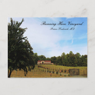 Running Hare Vineyard Postcard