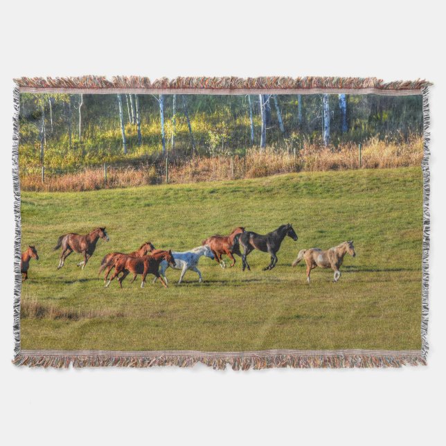 Running Herd of Horses on a BC Ranch Photo 4 Throw Blanket (Front)