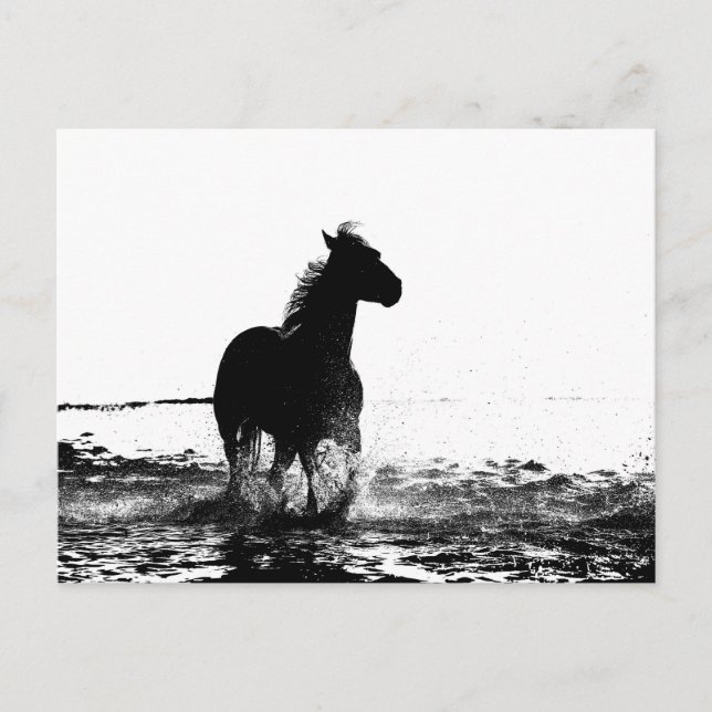 running horse animal postcard (Front)