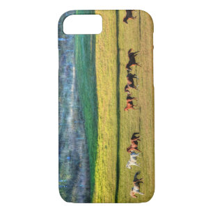 Running Horse Herd & Ranch Pasture Equine Photo 2 Case-Mate iPhone Case