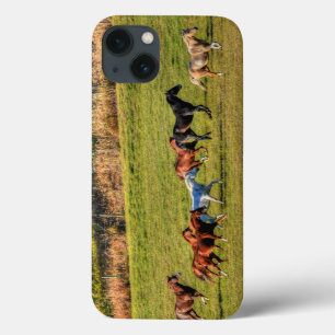 Running Horse Herd & Ranch Pasture Equine Photo iPhone 13 Case