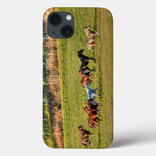 Running Horse Herd & Ranch Pasture Equine Photo Case-Mate iPhone Case (Back)