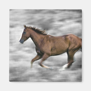 Running horse magnet