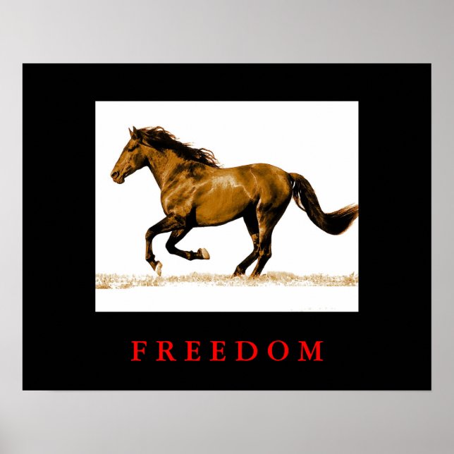 Running Horse Motivational Freedom Poster (Front)