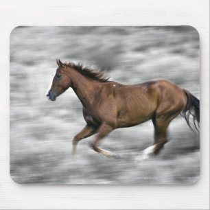 Running horse mouse pad