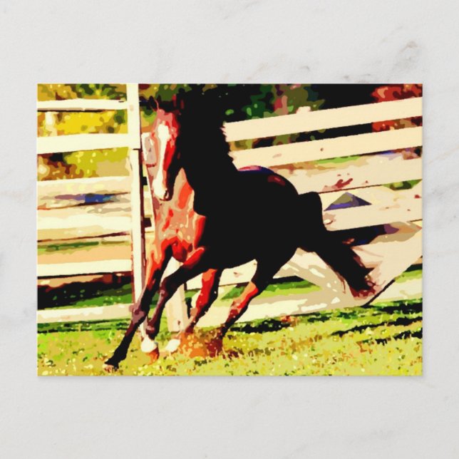 Running Horse Postcard (Front)