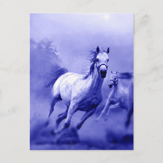 Running Horse Postcard (Front)