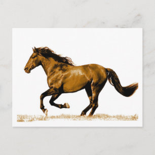 Running Horse Postcard