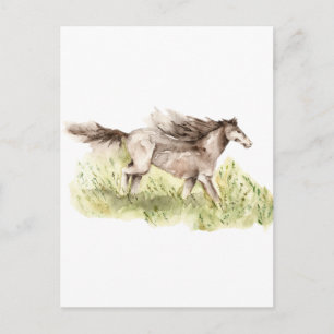 Running Horse Postcard