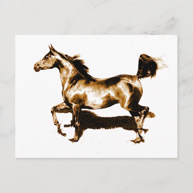 Running Horse Postcard (Front)