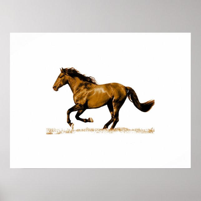 Running Horse Poster (Front)