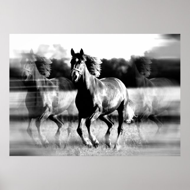 Running Horse Poster Print - B&W Horse Posters (Front)