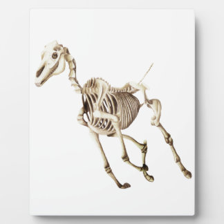 Running Horse Skeleton Plaque