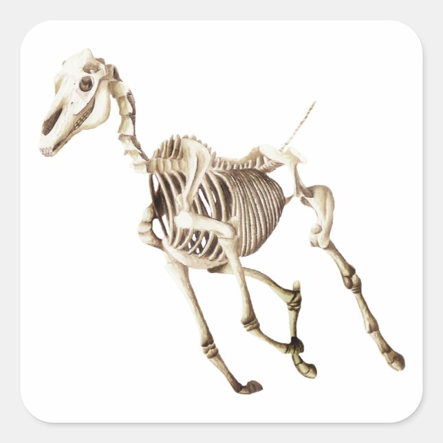 Running Horse Skeleton Square Sticker (Front)