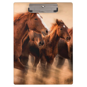 Running horses, blur and flying manes clipboard