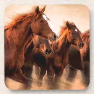 Running horses, blur and flying manes coaster