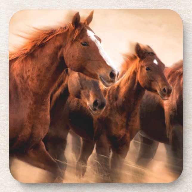 Running horses, blur and flying manes coaster (Front)