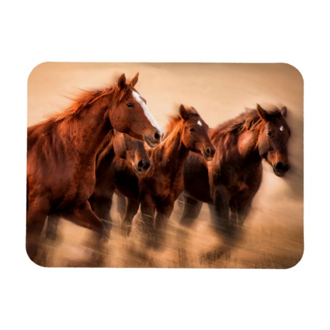 Running horses, blur and flying manes magnet (Horizontal)