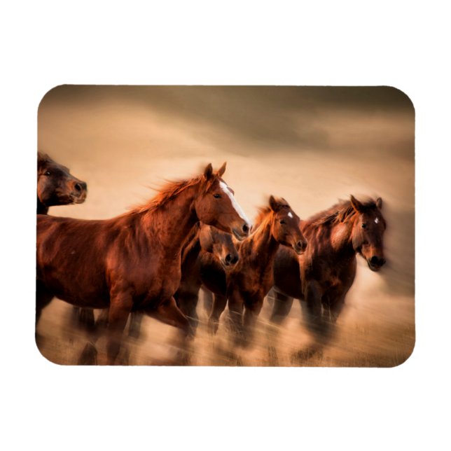 Running Horses Magnet (Horizontal)