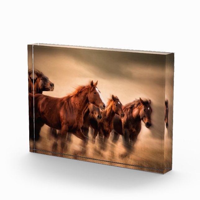Running Horses Photo Block (Right)