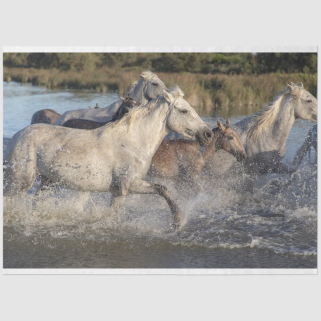 running horses tissue paper (Front)