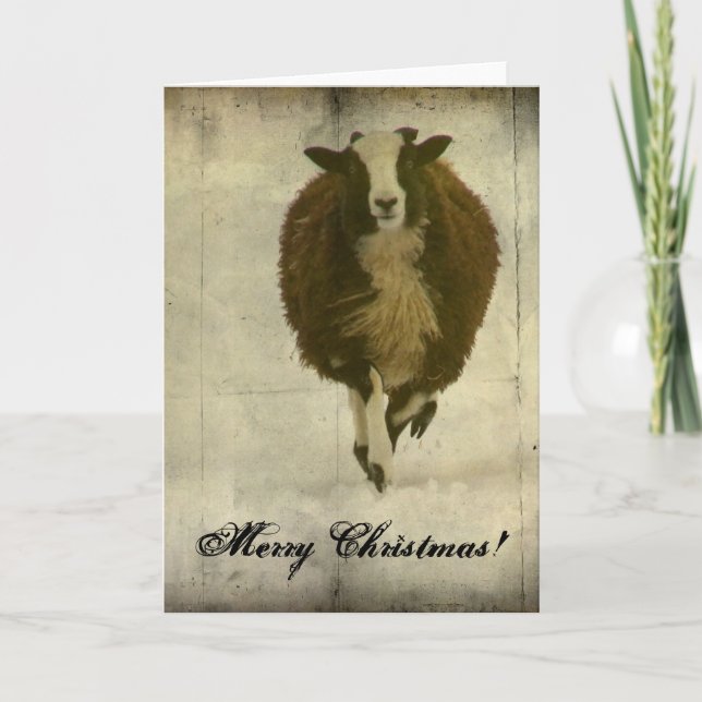 Running Lambchops, Merry Christmas Holiday Card (Front)