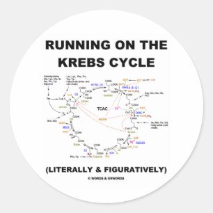 Running On The Krebs Cycle (Science Humour) Classic Round Sticker