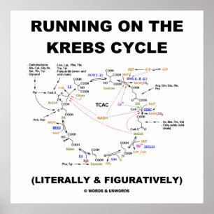Running On The Krebs Cycle (Science Humour) Poster