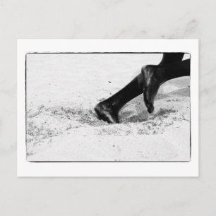 running out of sand postcard