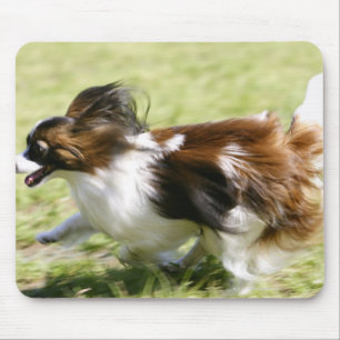 Running Papillon Mouse Pad