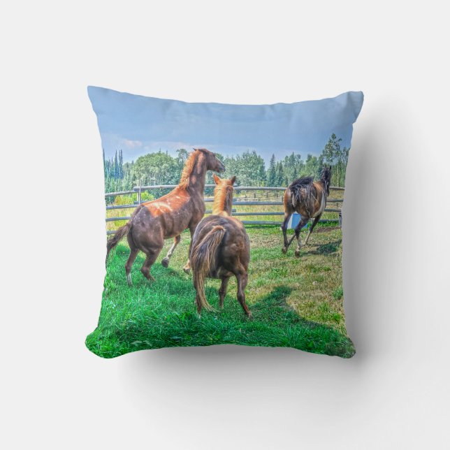 Running Pinto Paint Gelding & Chestnut Stallions Cushion (Front)